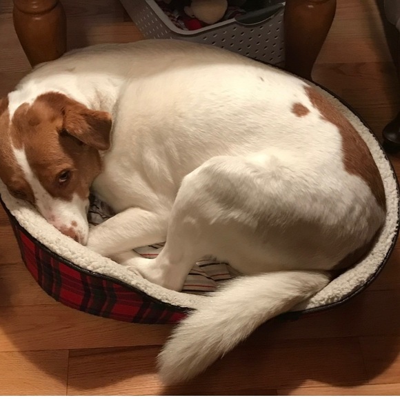 Meet your Posher, Jen - Picture 2 of 2